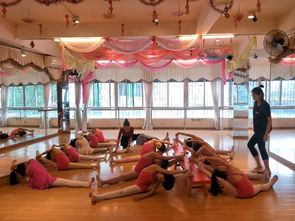 图 2019年广州哪里有小孩 学生秋季舞蹈培训班 广州文体培训
