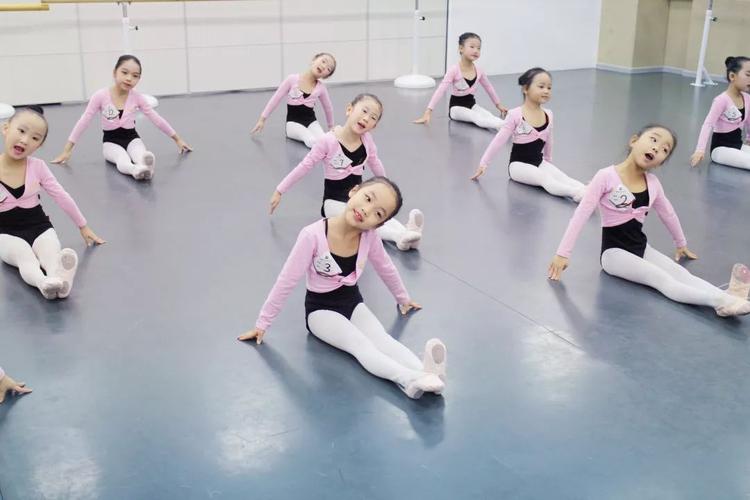 舞蹈培训中国舞芭蕾舞爵士舞成人古典舞